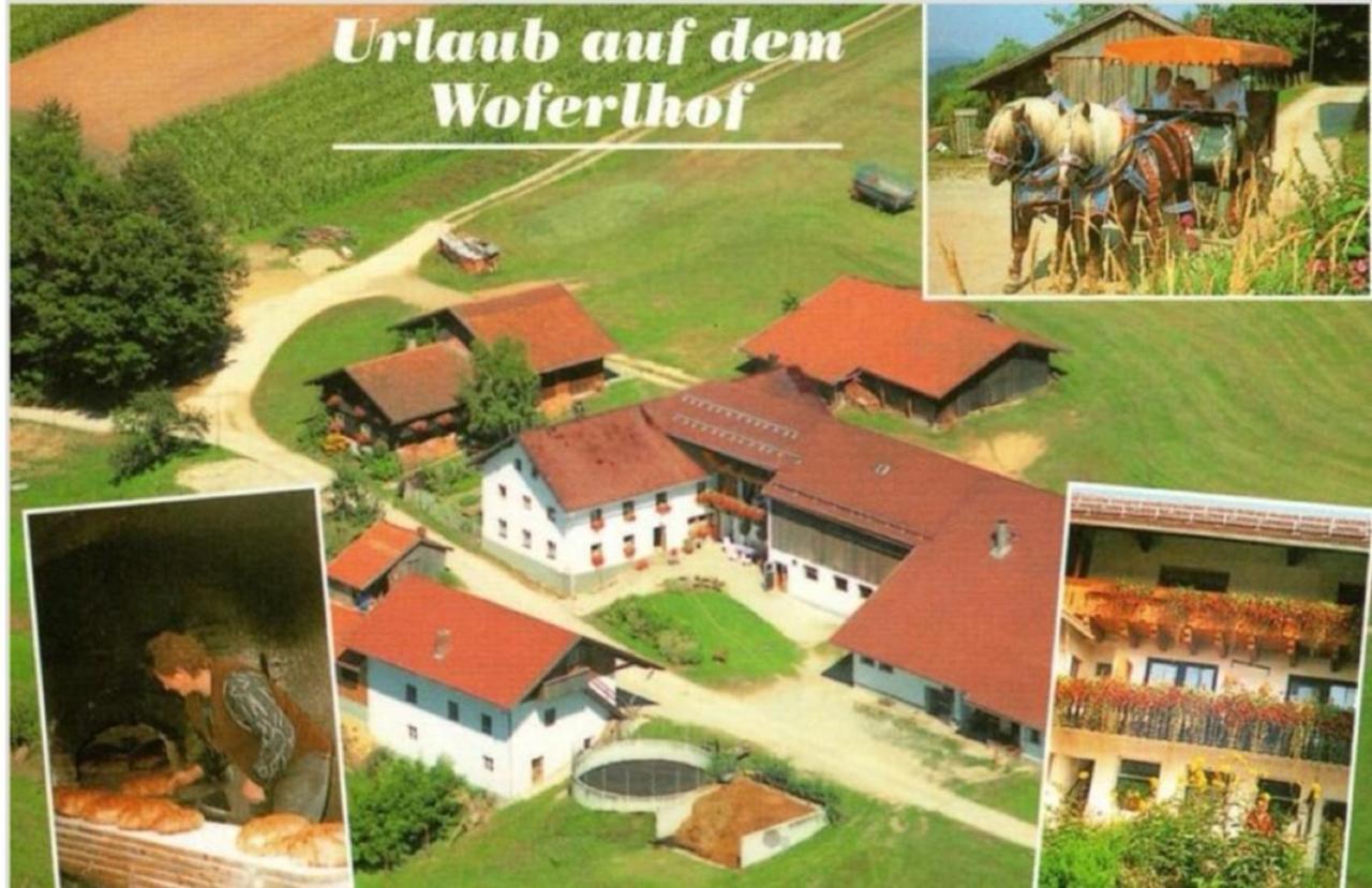 Woferlhof, Ferienhof Boxhorn Böbrach Kültér fotó