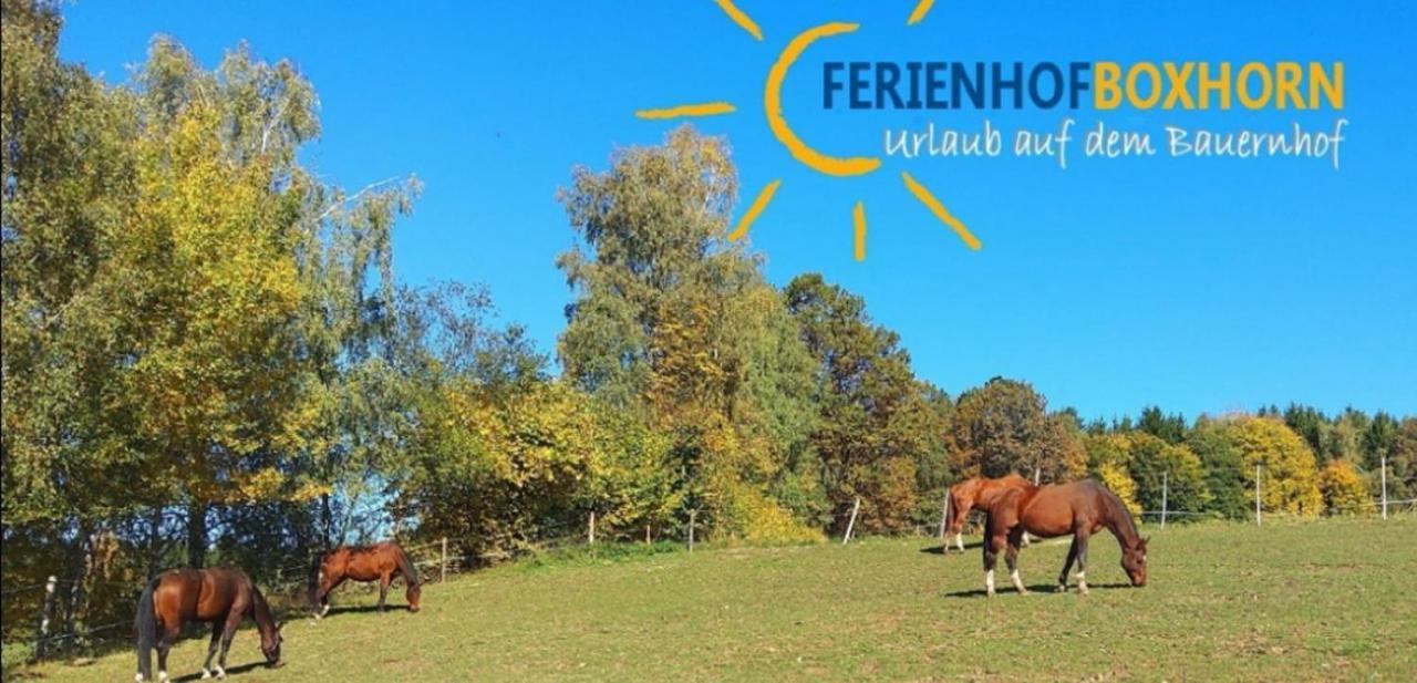 Woferlhof, Ferienhof Boxhorn Böbrach Kültér fotó