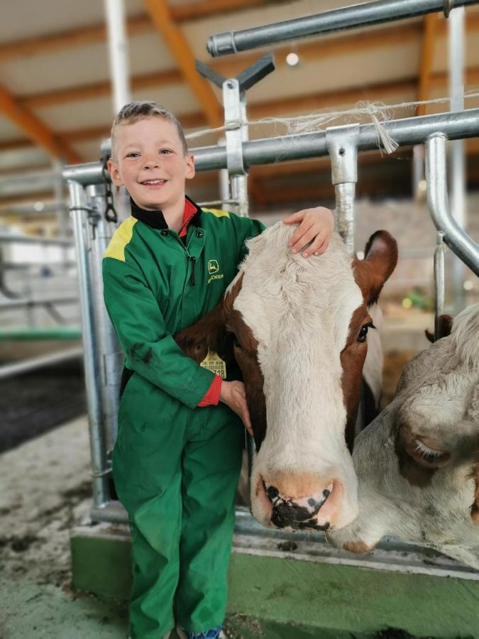 Woferlhof, Ferienhof Boxhorn Böbrach Kültér fotó